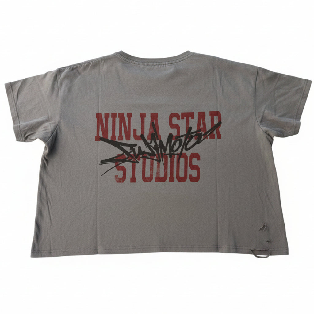 Fujimoto 'Spring Break 99' Grey Tee