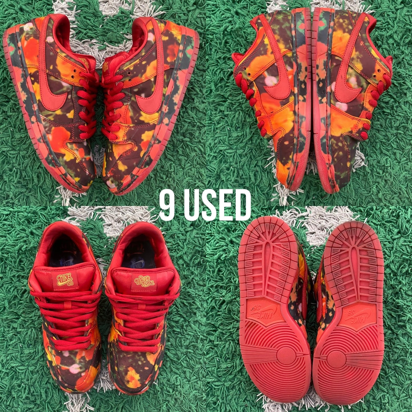 Nike SB Dunk Low "The Wizard of Oz Poppy Field" USED