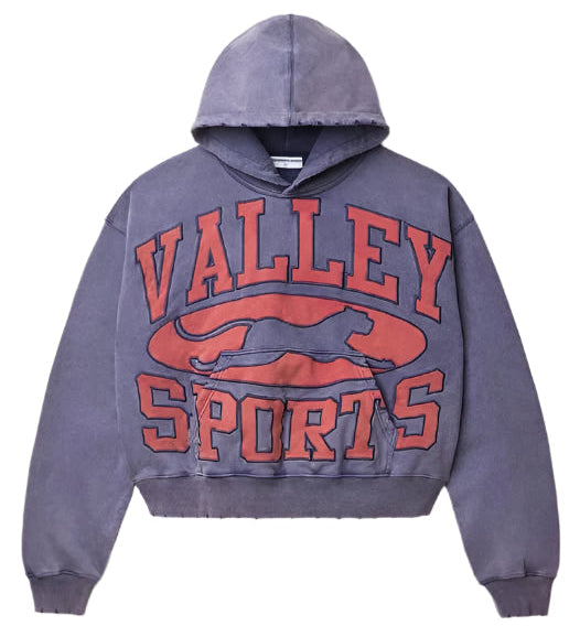 Vale "Valley Sports" Washed Purple Hoodie