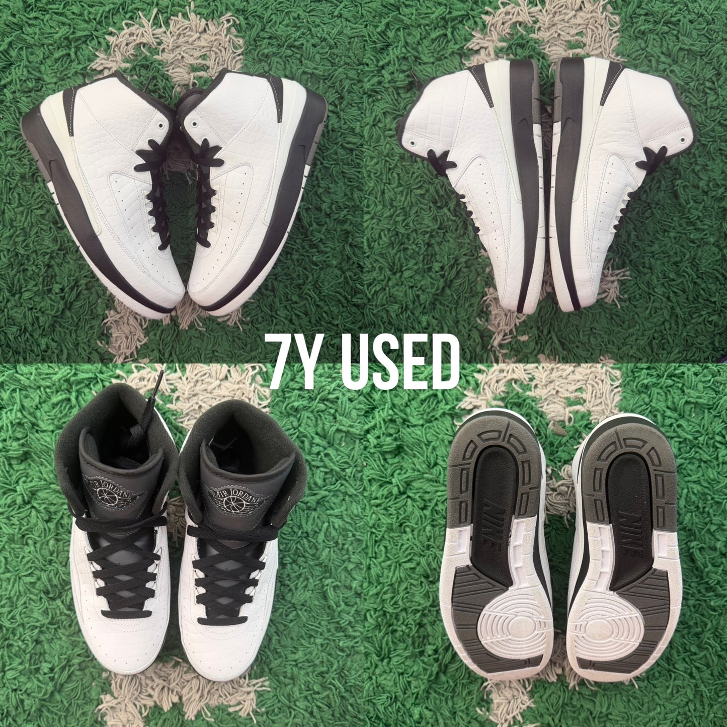 Air Jordan 2 Retro "Wing It" 2016 USED