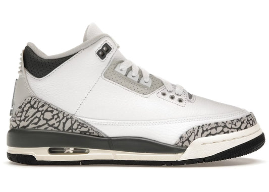 Air Jordan 3 "Hide and Sneak"