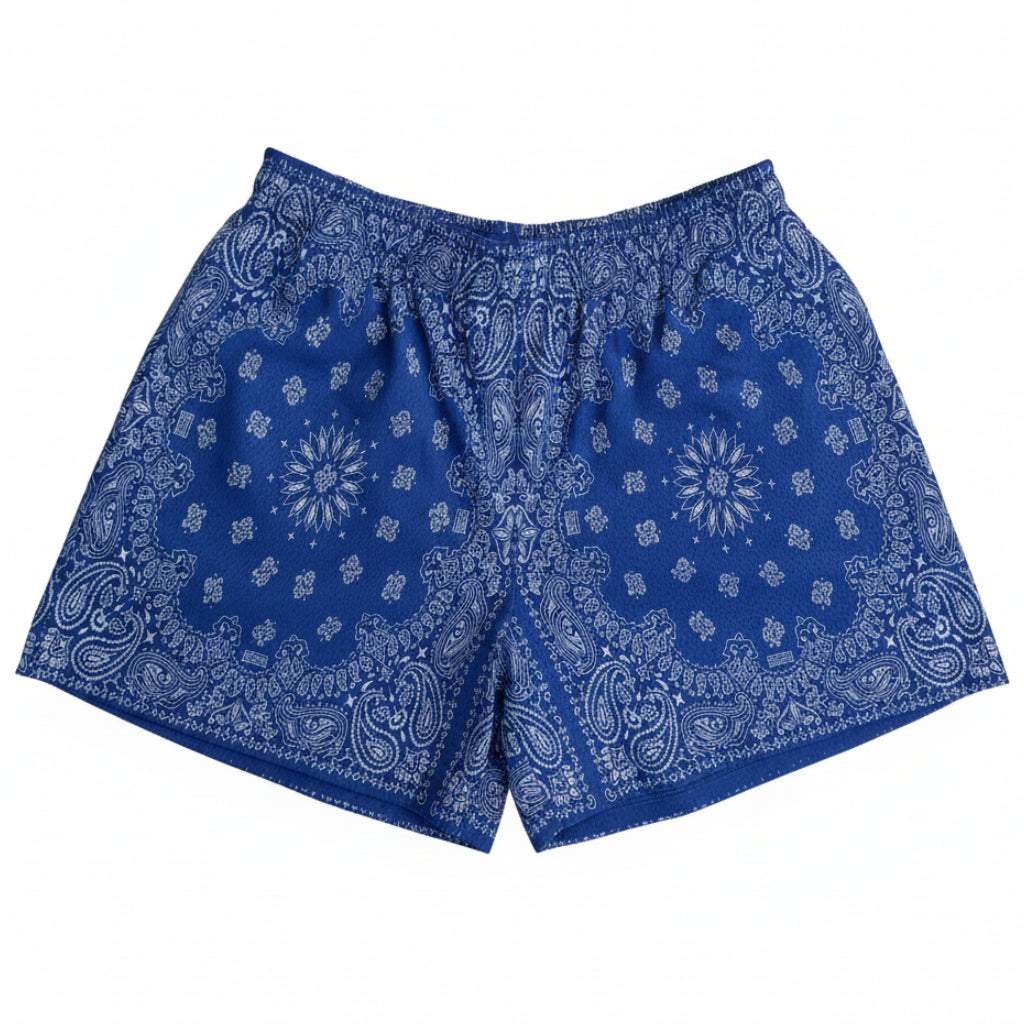 Bravest Studios "Paisley" Blue Mesh Shorts