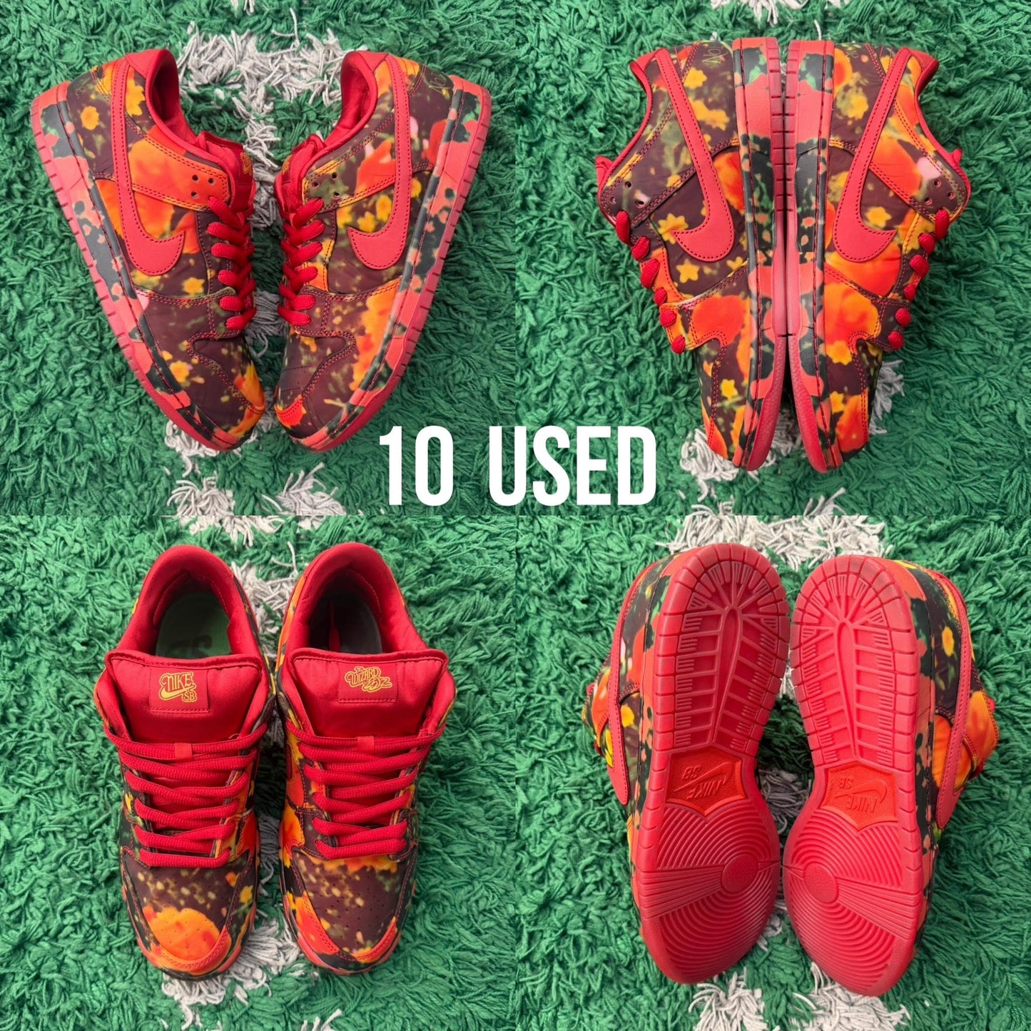 Nike SB Dunk Low "The Wizard of Oz Poppy Field" USED