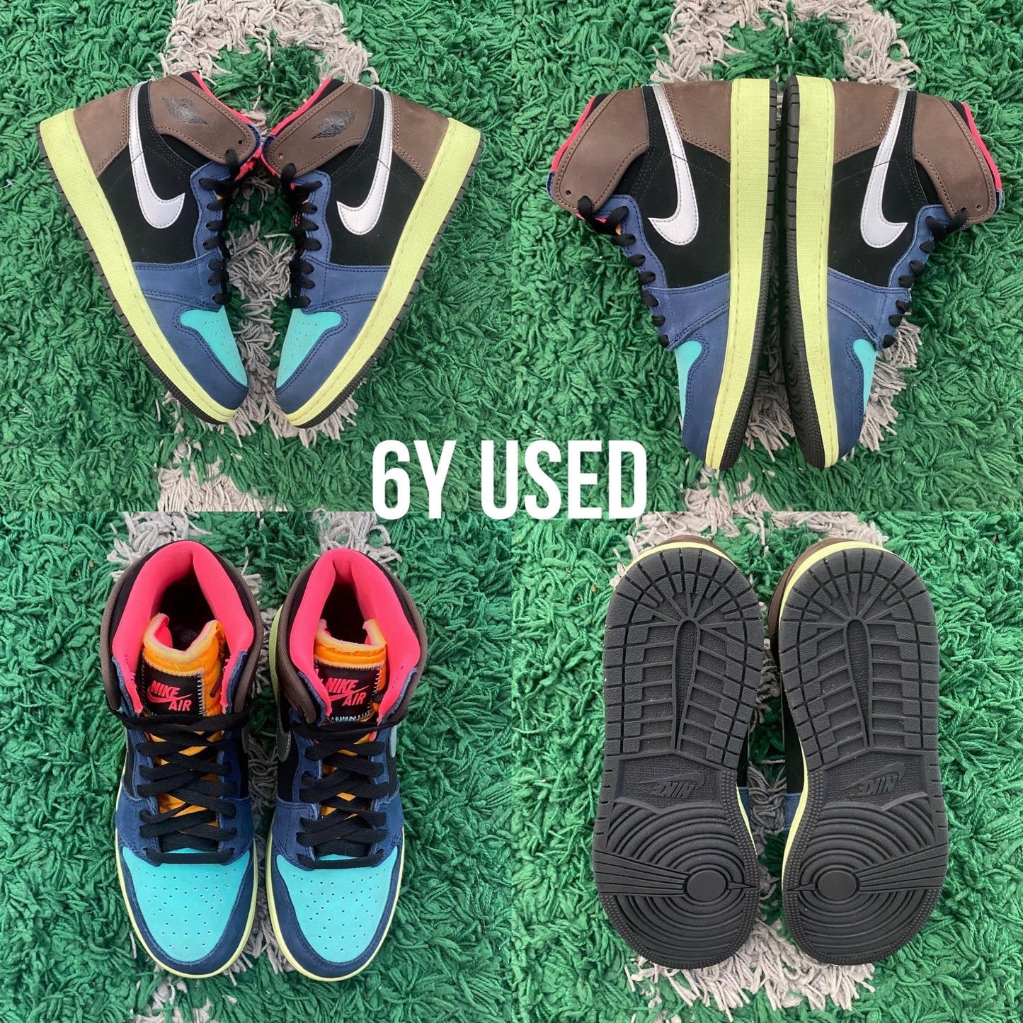 Air Jordan 1 High “Bio Hack” USED