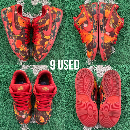 Nike SB Dunk Low "The Wizard of Oz Poppy Field" USED