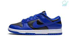 Nike Dunk Low Retro  “Hyper Cobalt”